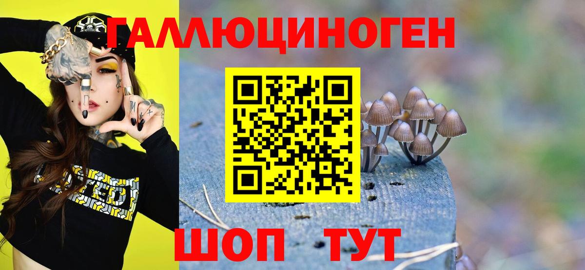 Псилоцибиновые грибы Magic Shrooms  Псилоцибиновые грибы GOLDEN TEACHER  Электрогорск  Вход с VPN 